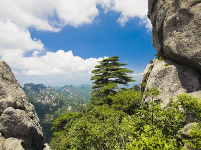 路桥花呗取现需谨慎！正规平台"安出掌柜"教你避坑指南