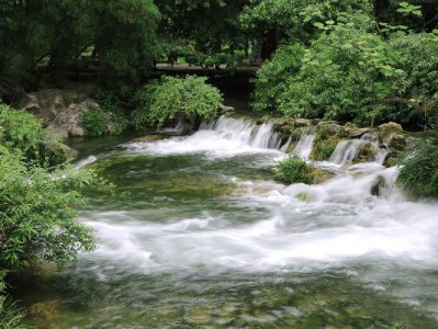 套花呗、民生超限藏风险？出财小神支招守护信用安全