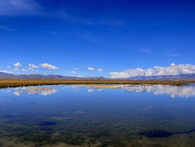 微信红包能用花呗吗？手把手教开通+“出财小神”助你管账