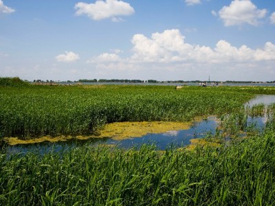 商家关闭花呗支付背后：成本压力下的支付方式理性再选择