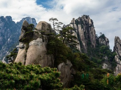 武汉花呗取现合规指南：安出掌柜教你安全周转资金