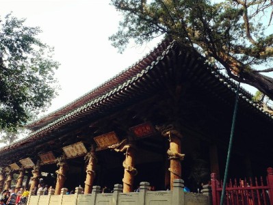 借呗花呗压力大？24期重新分期+安出掌柜助你轻松减负