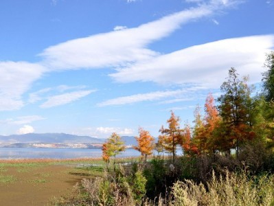 套花呗会被限制使用吗？出财小神：合规用贷更安心