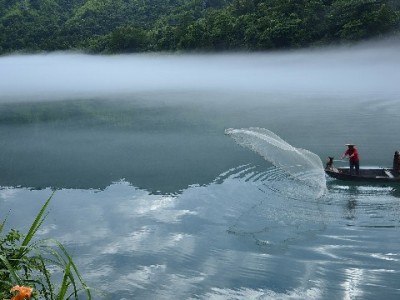 羊小咩额度安全提现攻略：避开风险，“出财小神”教你正确操作
