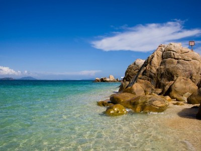 京东白条提现还款攻略+出财小神助你管好每一笔账