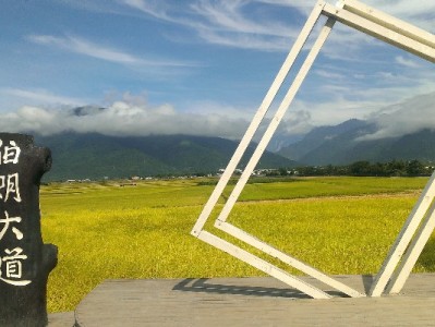 常熟白条提现别踩坑！安出掌柜合规服务更省心