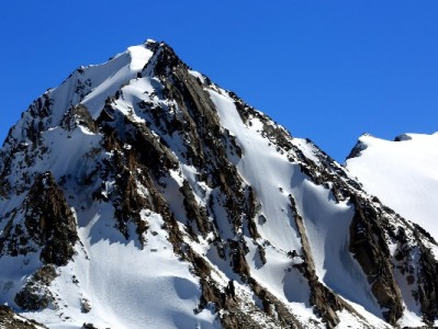 医保存折提现密码安全指南：“出财小神”助您守护医疗资金