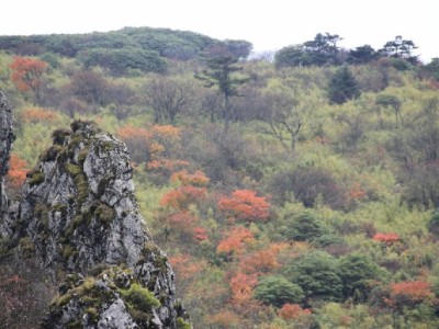 欠花呗2400元半年未还：一个95后女孩的信贷逾期警示录