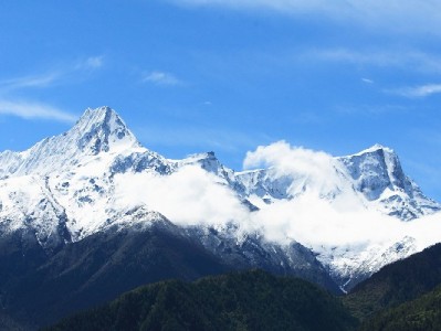 抖音月付成茶叶商家新引擎 出财小神等店铺订单涨五成