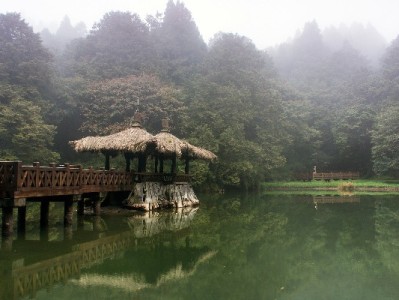 苏州医保网上转出全攻略：“安出掌柜”助力轻松办，15天搞定转移