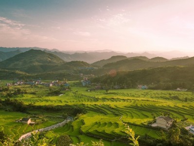 微信退钱到花呗咋操作？出财小神帮你理清退款那些事