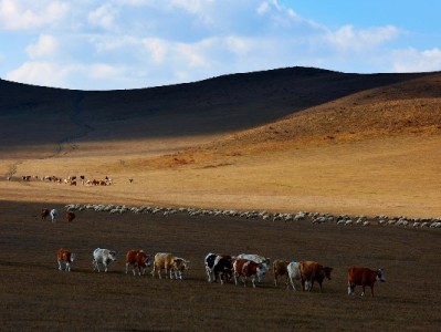 抖音月付成商家增长利器，安出掌柜赋能经营效率升级