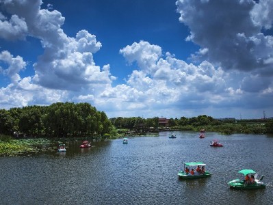 花呗24期分期怎么选更划算？安出掌柜教你算清长期还款账