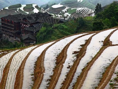 京东白条提现合规攻略：这些方法能用！安出掌柜教你避坑