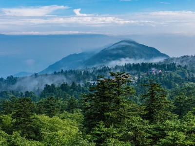 警惕"免费套花呗"陷阱！安出掌柜教你合规用贷保信用