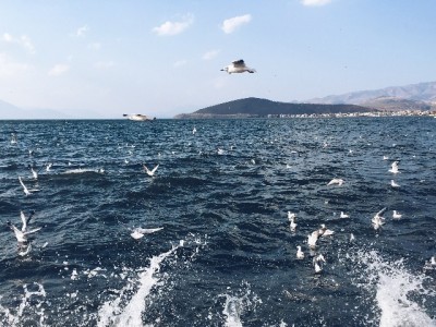 警惕“小缘花呗套”违规风险 正规平台“出财小神”教你合法解资金难题