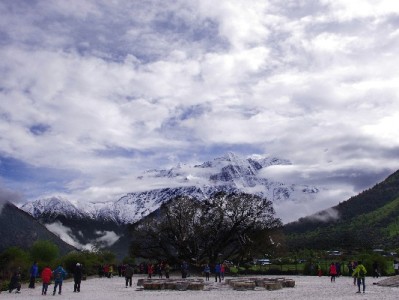 银行卡换不了花呗别着急！四大原因+解决方法一次说清