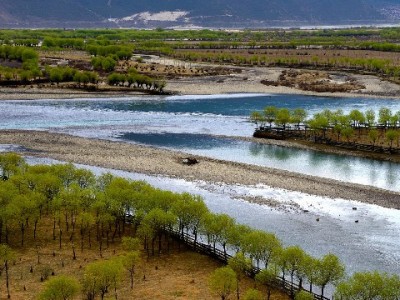 社区医院医保套现案告破：200万“救命钱”如何被“刷”走？