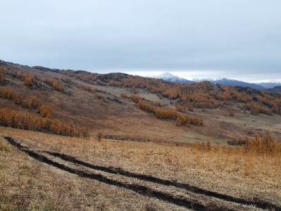 "出财小神"关联白条出库套现骗局：快速变现背后的资金陷阱