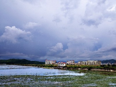 花呗分期成“富信掌柜”破局利器：高单价商品月销涨四成的秘密