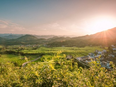 合肥"花呗套现"暗藏风险！这些后果你必须提前了解