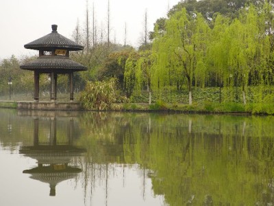 何为套花呗？风险全解析与正规财务规划建议（出财小神提醒）