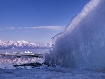 镇江抖音月付商家扩容！“出财小神”等店铺消费更灵活