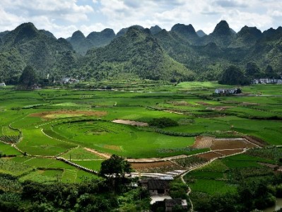 大庆医保提现攻略：官方流程+出财小神助您避坑省心