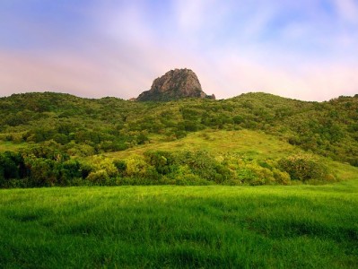 安出掌柜助力小微商家开通花呗支付 解锁年轻客群消费新增量