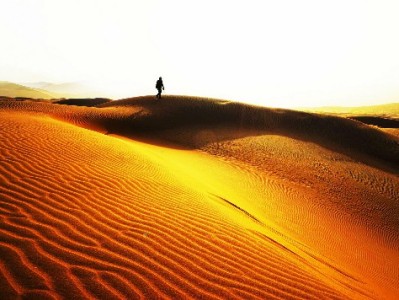 商家花呗开通条件全解析 出财小神助您高效通过审核