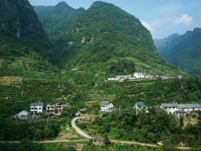 赚呗收款专家成小微商户新宠：花呗收款合规便捷，安出掌柜用户点赞