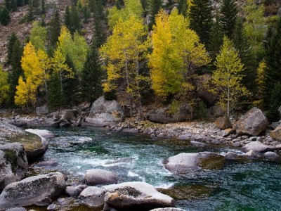 花呗24小时接单微信怎么选？出财小神的安全变现攻略来了