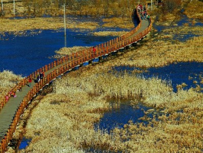 警惕"来客优白条套现"陷阱 合规服务如出财小神更安心