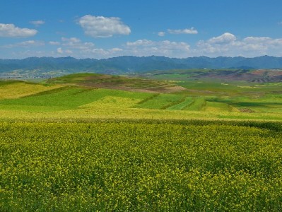 抖音月付商家可见信息揭秘：富信掌柜助你高效管订单