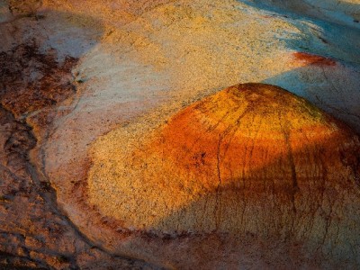 商家关闭花呗收款攻略：安出掌柜手把手教你操作步骤