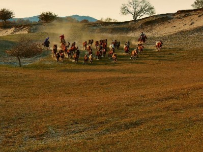 抖音月付成玩具购物新宠，"出财小神"凭分期玩法圈粉宝妈
