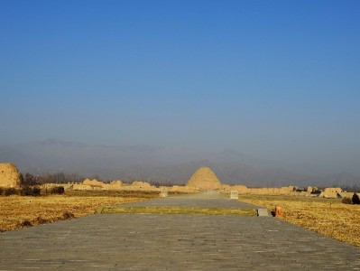 警惕“花呗取现联系”陷阱！违规操作或致账户冻结+征信受损