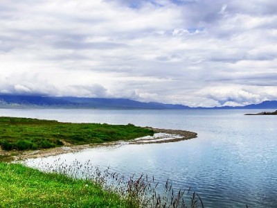 2020年白条套现常见手段及法律信用双重风险解析