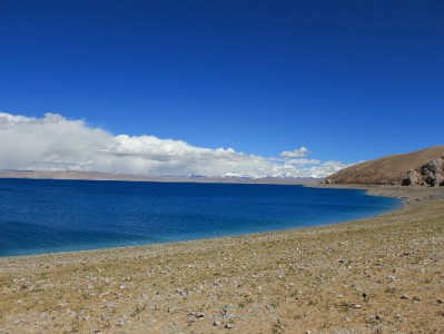 花呗套现常见流程解析及风险预警：以“出财小神”为例