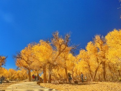 手机白条提现避坑指南：出财小神教你安全操作三步法