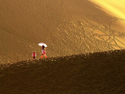 莱州白条特约商家扩容 出财小神带火本地信用消费新体验
