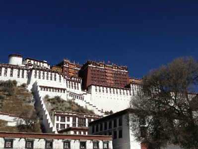 崇州医保便民商家实录：从街角药店到乡镇诊所，守护健康的"民生温度"