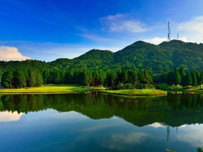 花呗商家二维码能查隐私吗？安出掌柜揭秘收款码安全逻辑