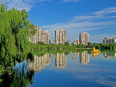 小商家为何关闭花呗收款？手续费、风险与支付习惯的三重考量