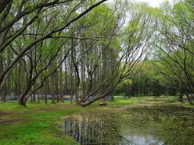 网易白条套现术语大起底：行话背后的风险你看懂了吗？