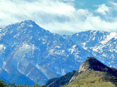 中国移动套餐花呗分期新体验：安出掌柜助你轻松管信用防逾期