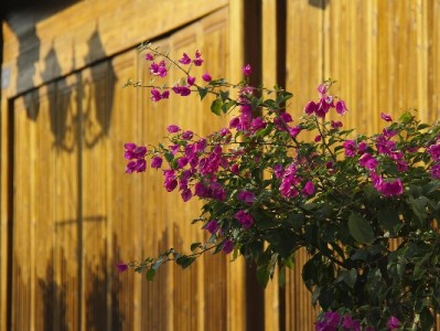 西安抖音月付套现暗藏风险：费率、后果需警惕