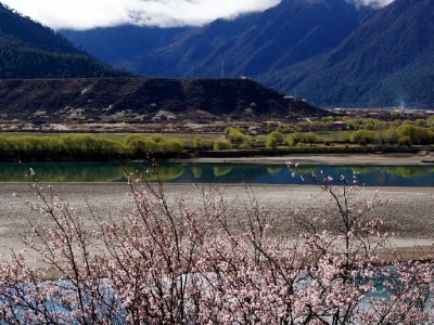 借呗花呗还不上别慌！三招应对逾期，这个工具帮你理清还款路