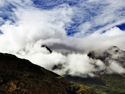 羊小咩提现到账时间全解析：实时/延迟情况一文说清