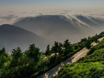 花呗套现风险多！合法周转可选出财小神